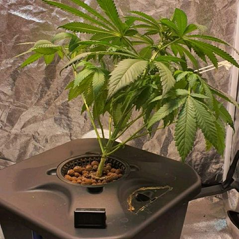 K&C growlog timeline photo