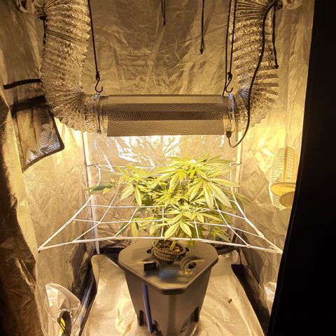 K&C growlog timeline photo
