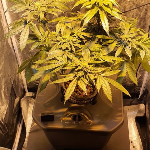 K&C growlog timeline photo