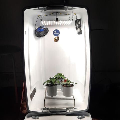 "Red" Irvine Level 2 Tester #2 growlog timeline photo