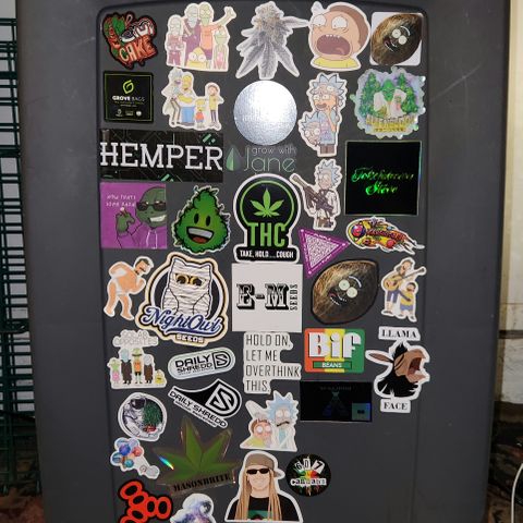 Golden Goat S1 growlog timeline photo
