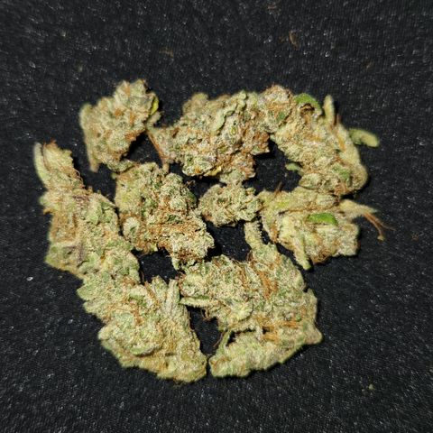LPC auto tester growlog photo: Lab test!