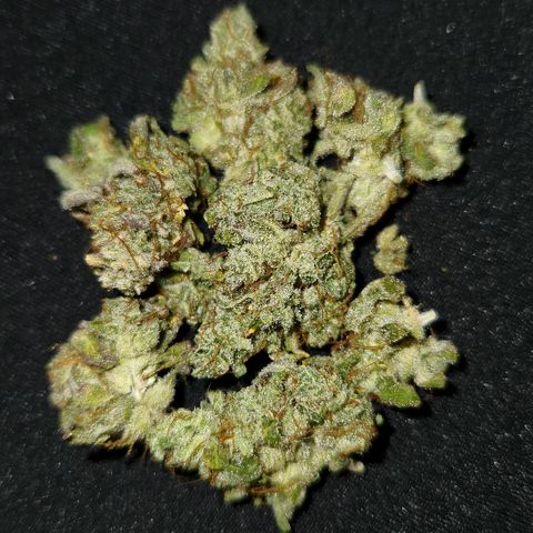 33 Sunsets auto growlog timeline photo
