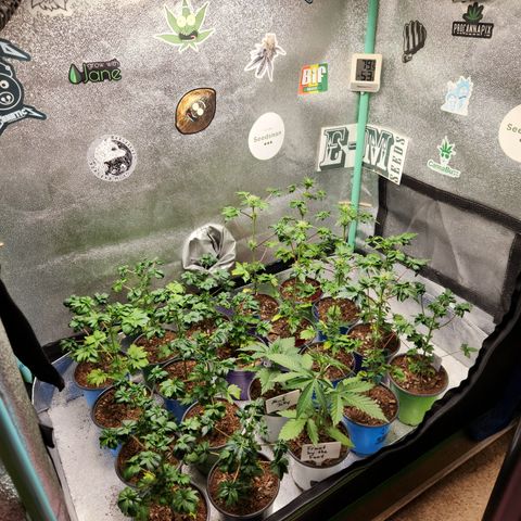 APBE #1 growlog timeline photo