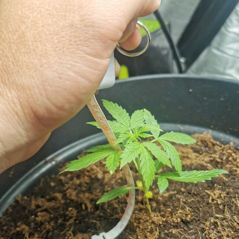 marina  growlog timeline photo