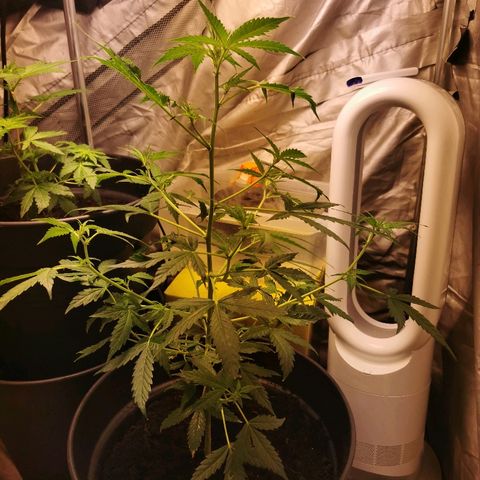 marina  growlog timeline photo