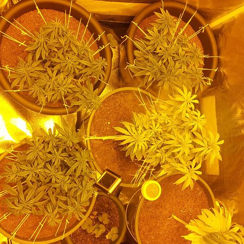 Bbcita growlog timeline photo