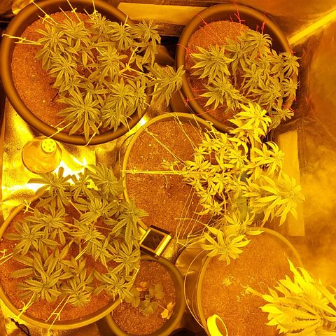 Bbcita growlog photo: ✂️