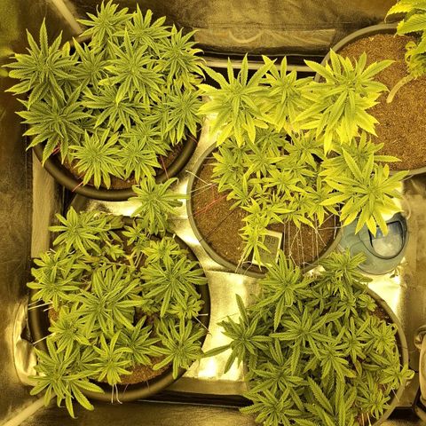 Bbcita growlog timeline photo