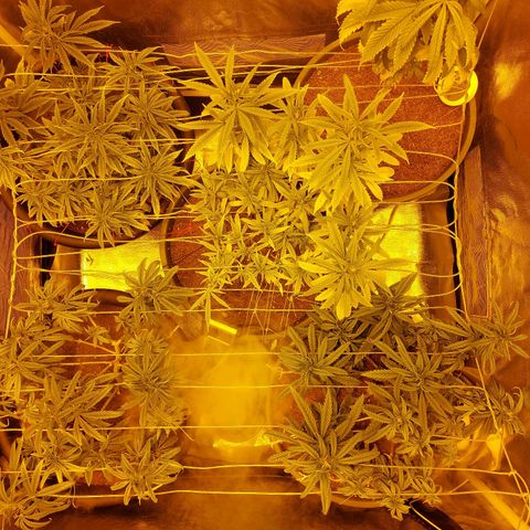 Bbcita growlog timeline photo