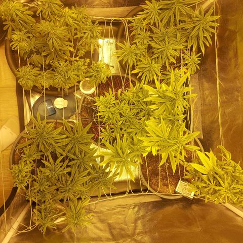 Bbcita growlog timeline photo