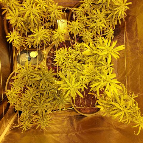 Bbcita growlog timeline photo