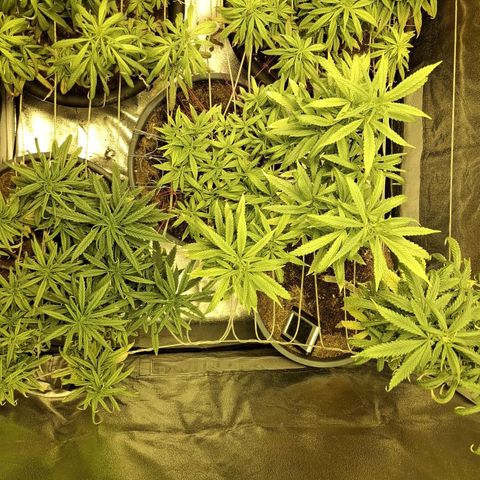 Bbcita growlog timeline photo