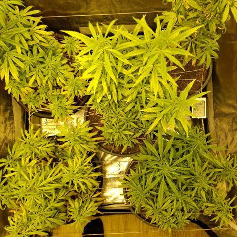 Bbcita growlog timeline photo