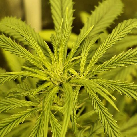 Bbcita growlog timeline photo