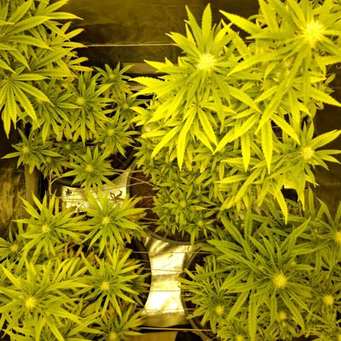Bbcita growlog timeline photo