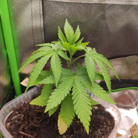 Hopper growlog photo: Bedtime ^^