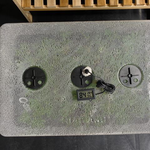 Unknown strain growlog timeline photo