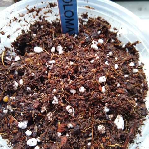 SMT-001 growlog timeline photo