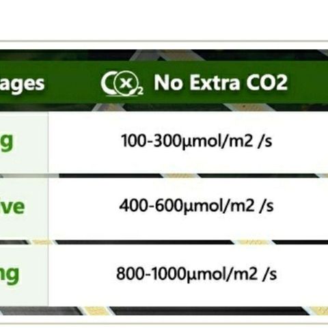 Auto Bruce Banner growlog timeline photo