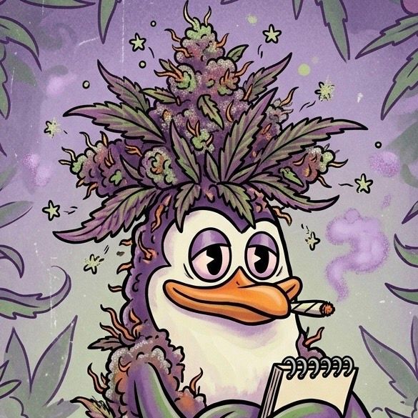 Avatar von kowakush