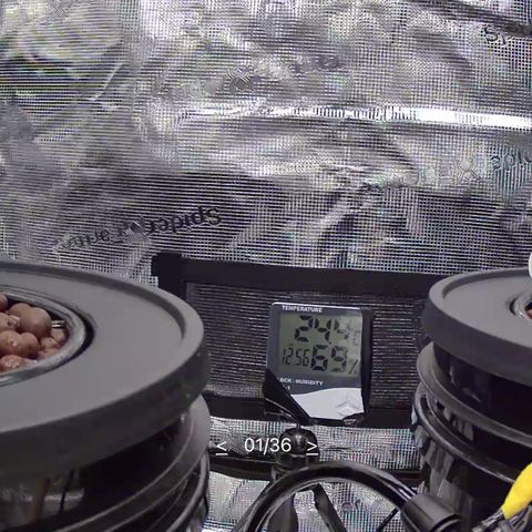 Big Blue growlog timeline photo