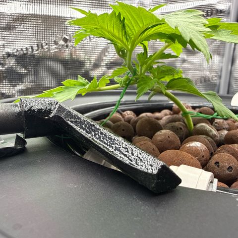 White Trash Widow growlog photo: Started LST