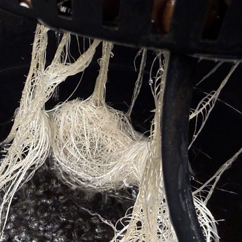 White Trash Widow growlog timeline photo