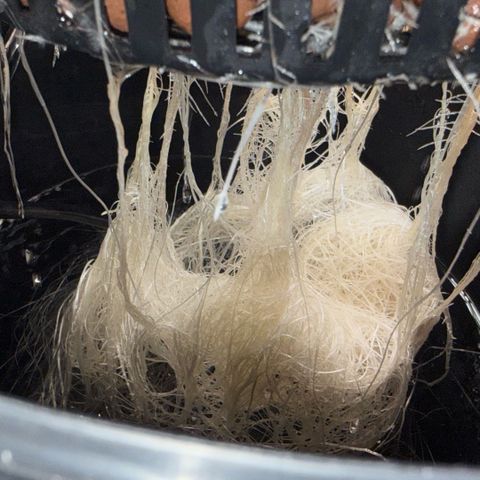 White Trash Widow growlog timeline photo