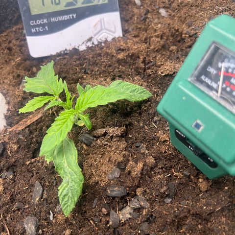 Fruity Pebbles 2.0 growlog photo: Elle a u un stress mais elle va s’en remettre 