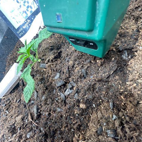 Fruity Pebbles 2.0 growlog photo: Elle a u un stress mais elle va s’en remettre 
