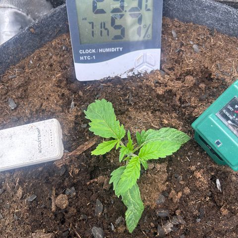 Fruity Pebbles 2.0 growlog photo: Elle a u un stress mais elle va s’en remettre 