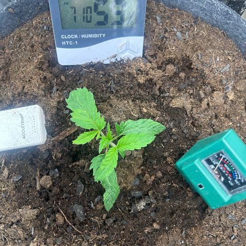 Fruity Pebbles 2.0 growlog photo: Elle a u un stress mais elle va s’en remettre 