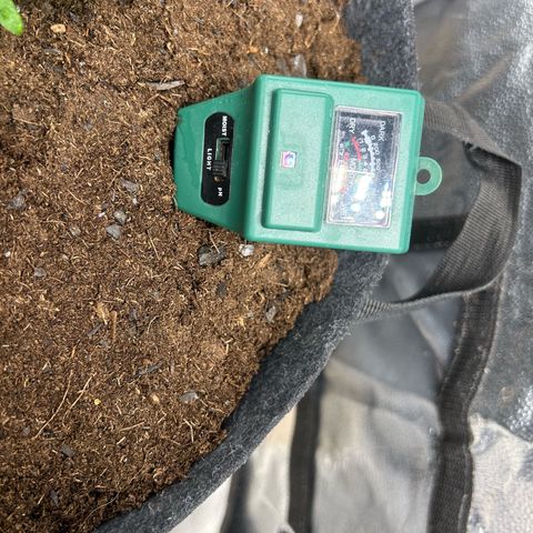 Fruity Pebbles 2.0 growlog timeline photo