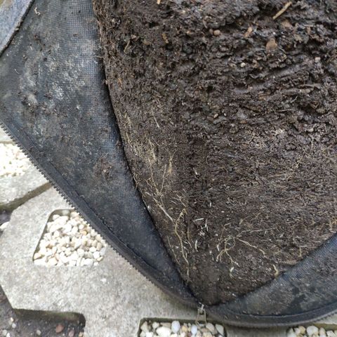 Pineapple Express 2 growlog timeline photo