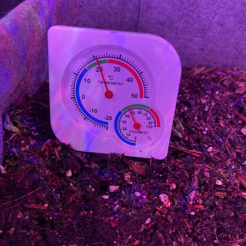 Unknown strain growlog photo: Current temperature and humidity 