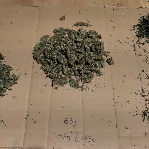 Easy Plant growlog photo: 105g dry weight total usable stuff - 79g good for smoking, the rest goes to hot bath in coconut oil to end in pierniki and make next X-mas less shity than usual 😁