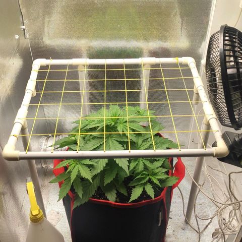 AK472 Autoflow growlog timeline photo