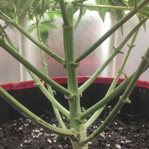AK472 Autoflow growlog timeline photo