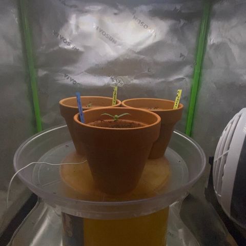 GTA Cargo growlog timeline photo