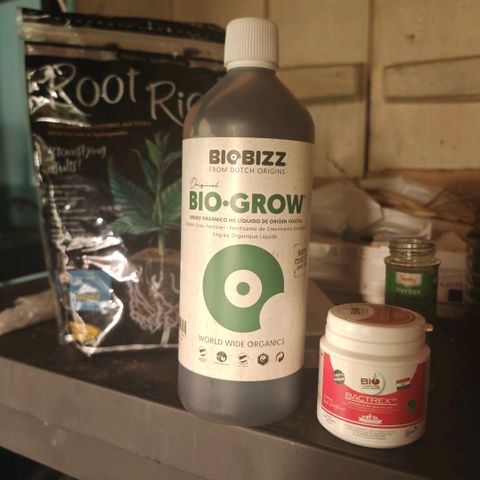 #B3 Gelato-K 🍦 #2 growlog timeline photo
