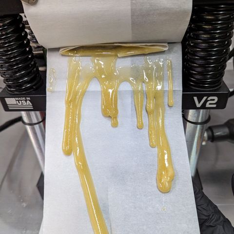 Jet Fuel Gelato growlog photo: 15 g rosin
+
~2 oz flower curing