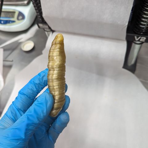 Afghan Kush Auto growlog photo: 1300 g FF > 27g Rosin
2%
Beginning cold Cure 
