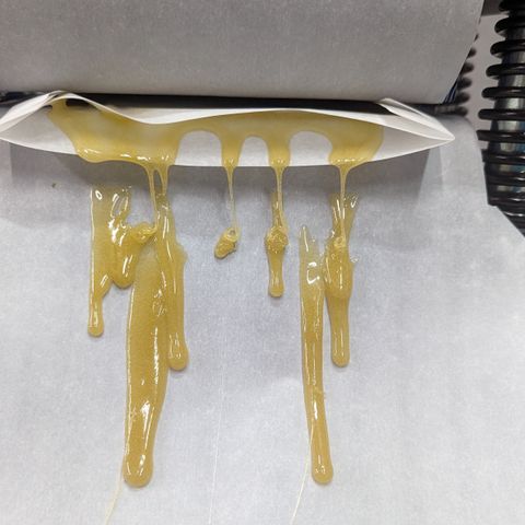 Afghan Kush Auto growlog timeline photo