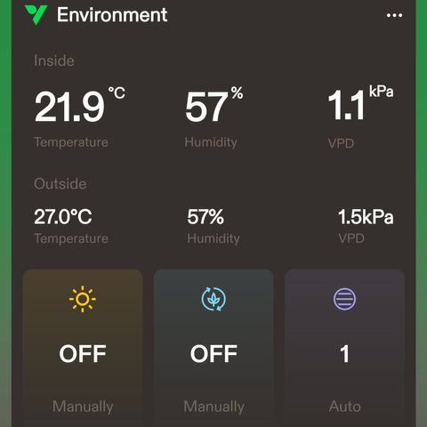 Green Poison auto  growlog photo: Día de cosecha, no tengo gramera, así que no sé cuánto coseché. Increíble experiencia para ser la primera vez.