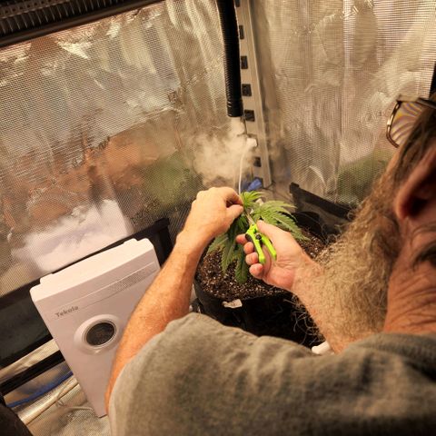 Cici growlog timeline photo