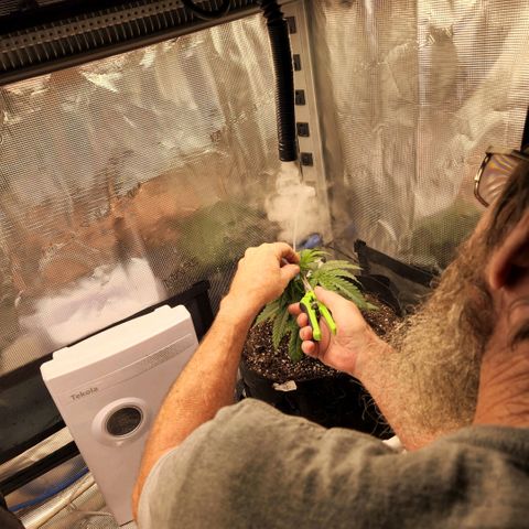 Cici growlog timeline photo