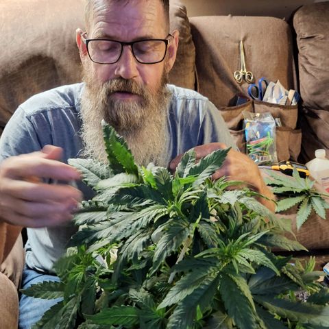 Cici growlog timeline photo