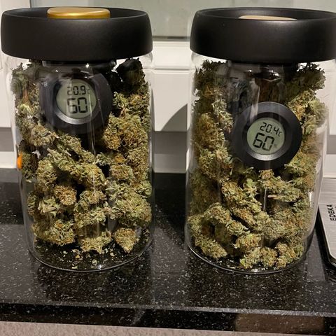 Chokolope growlog timeline photo