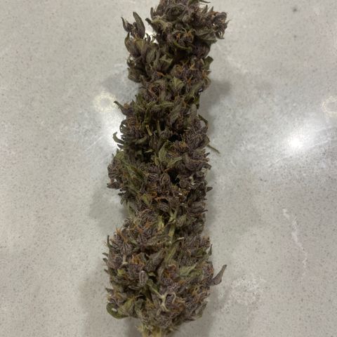 Betty growlog timeline photo